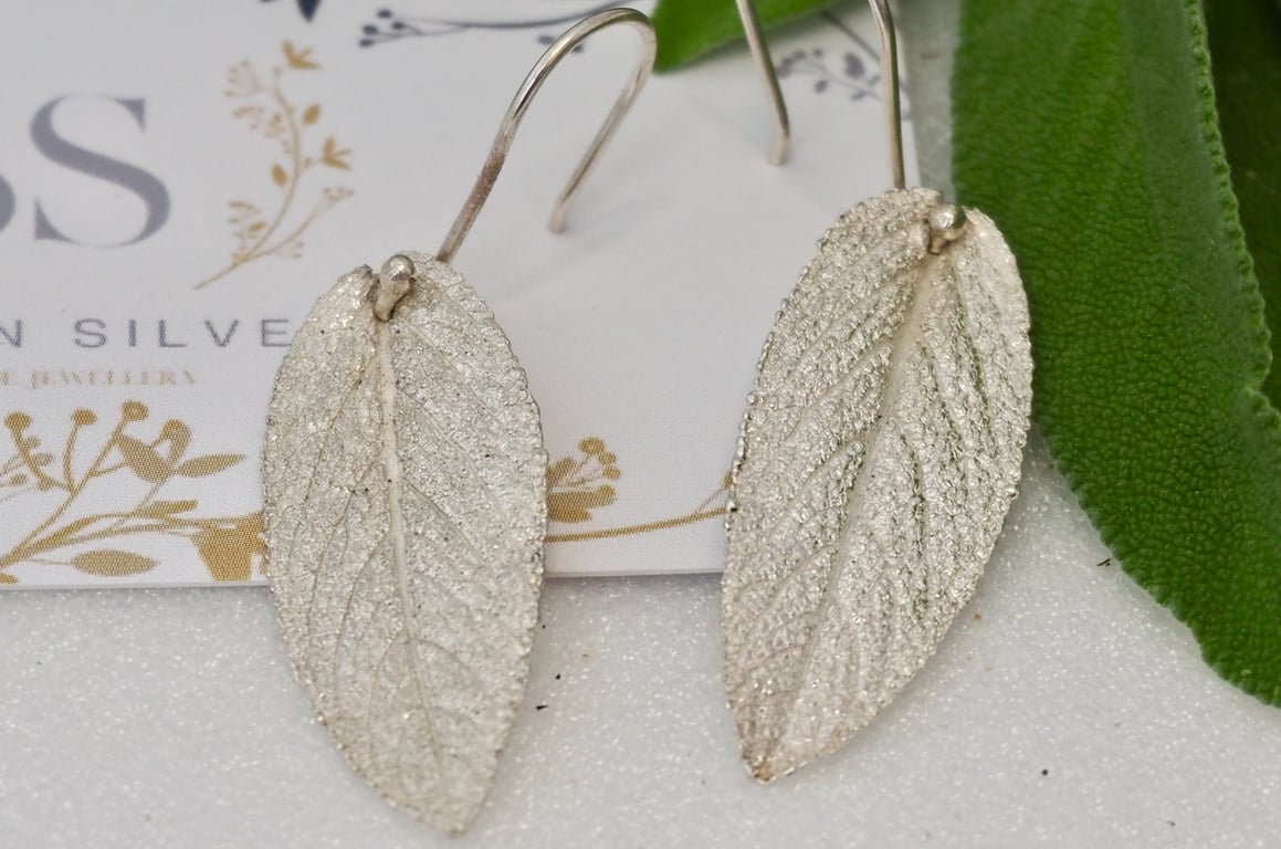 Wise Old Sage - PMC & Sterling Silver sage leaf dropper earrings 