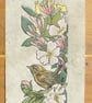 Wren in Roses lino cut print - Image 2