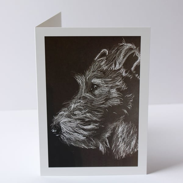 Fox Terrier Drawing Card 