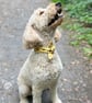 Dog Necktie - Autumn Scarecrows - 5 Sizes Easy Tie On - Image 2