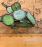 Stained Glass Cactus Succulent in Terracotta Pot, Plant Your Own Succulent Kit - Image 6