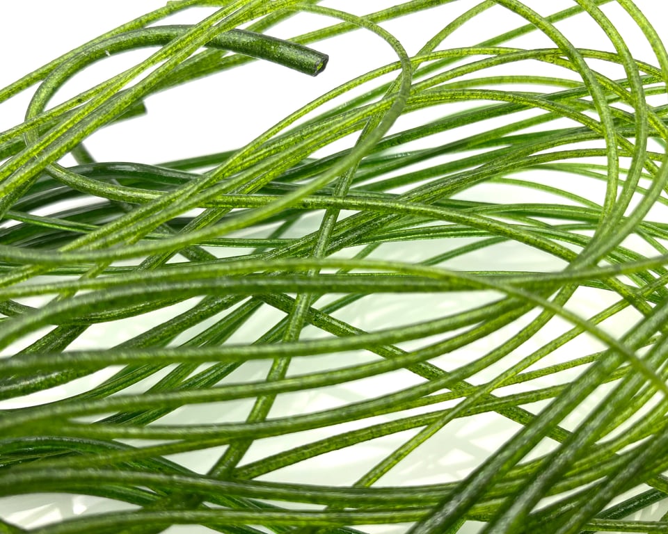 50g sparkly Aventurine Green Bullseye 90 coe glass Vitrigraph stringers