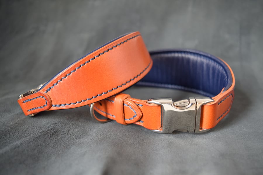 Handmade Padded Leather Dog Collar – UK Made, Greyhound, Lurcher, Whippet