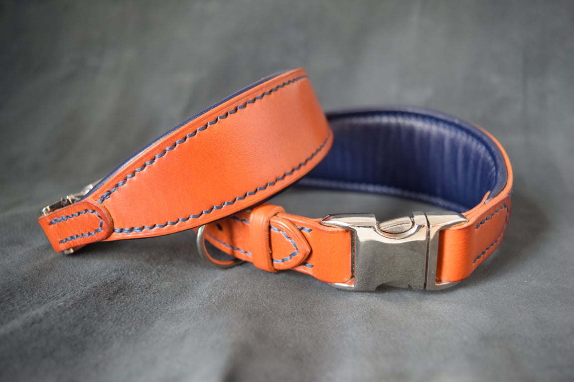 Handmade Padded Leather Dog Collar – UK Made, Greyhound, Lurcher, Whippet