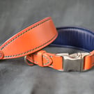 Handmade Padded Leather Dog Collar – UK Made, Greyhound, Lurcher, Whippet