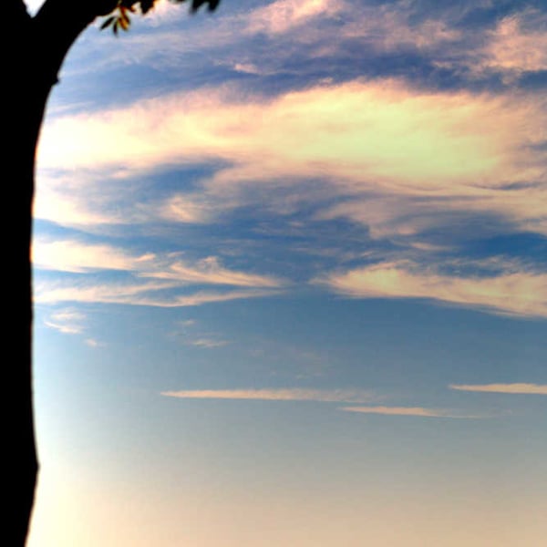 Picture Weymouth, Out to Sea from the Nothe Print, Dorset Photo