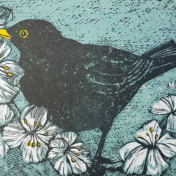 Apple Blossom Blackbird