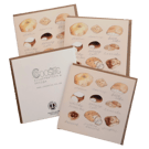 Illustrated Big Northern Buns Set of x4 Cards & Envelopes