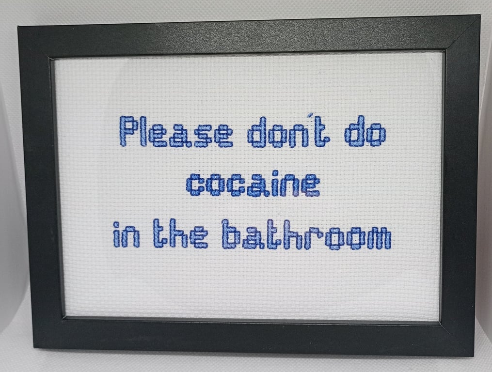 Funny Handmade Framed Cross-Stitch – Please Don't Do Cocaine in the Bathroom 