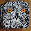 Snowy Owl coaster