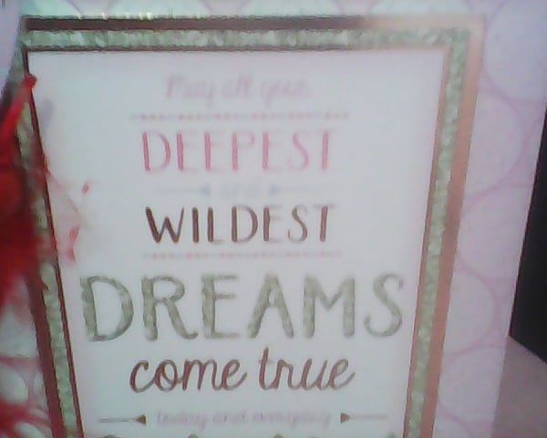 Dream Catchers