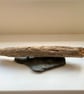 Handmade Driftwood Sculpture  Modern Abstract Original Coastal Art Home Decor