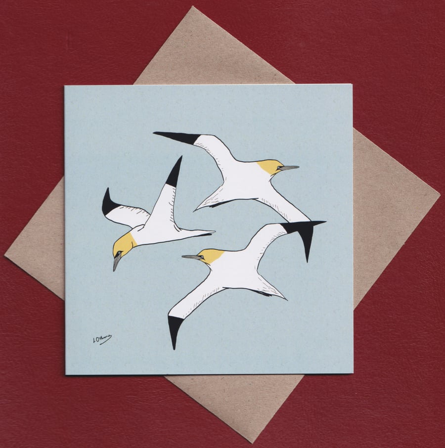 Greetings card - gannets - seabirds