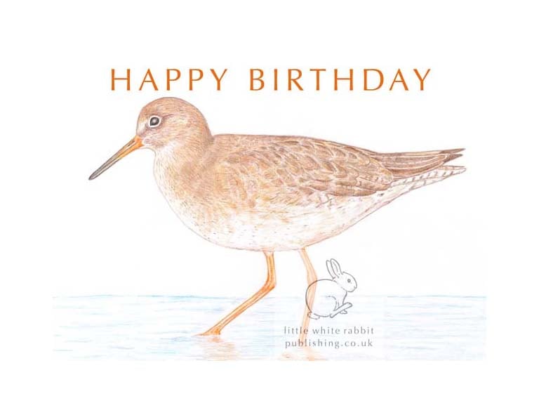 Redshank - Birthday Card