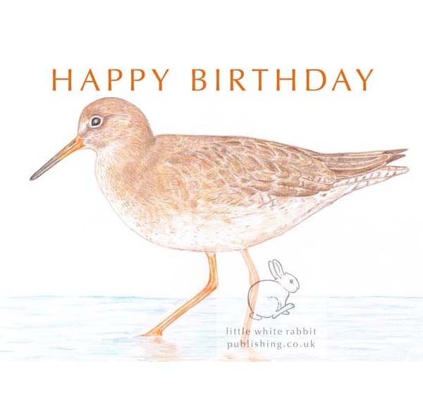 Redshank - Birthday Card
