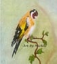 Original European Goldfinch Colour Pencil Drawing - Image 5