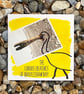 Ibis; greetings card, blank inside, printed on card and photographic paper