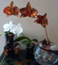 Copper orchid - Image 2