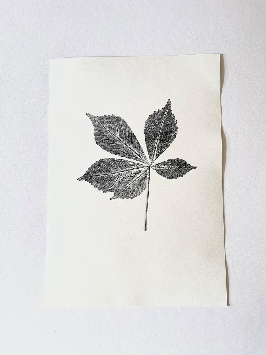 Horse Chestnut Leaf Print 
