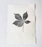 Horse Chestnut Leaf Print  - Image 3