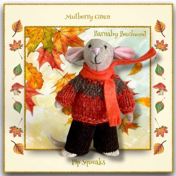 Barnaby Beechwood - a young Pip Squeak 