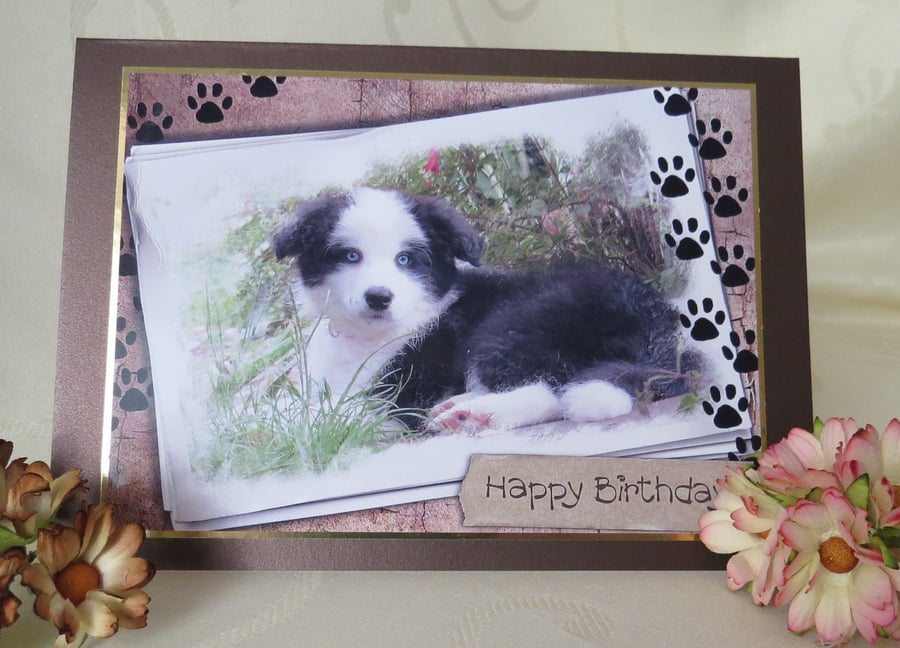 Border Collie Puppy Birthday Card 