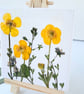 Real Pressed Buttercups Miniature Botanical Canvas on Wooden Easel - Image 3