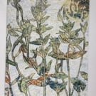 Original Artwork of Plants Using Print and Mixed Materials