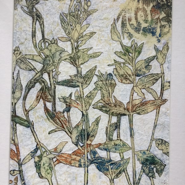 Original Artwork of Plants Using Print and Mixed Materials