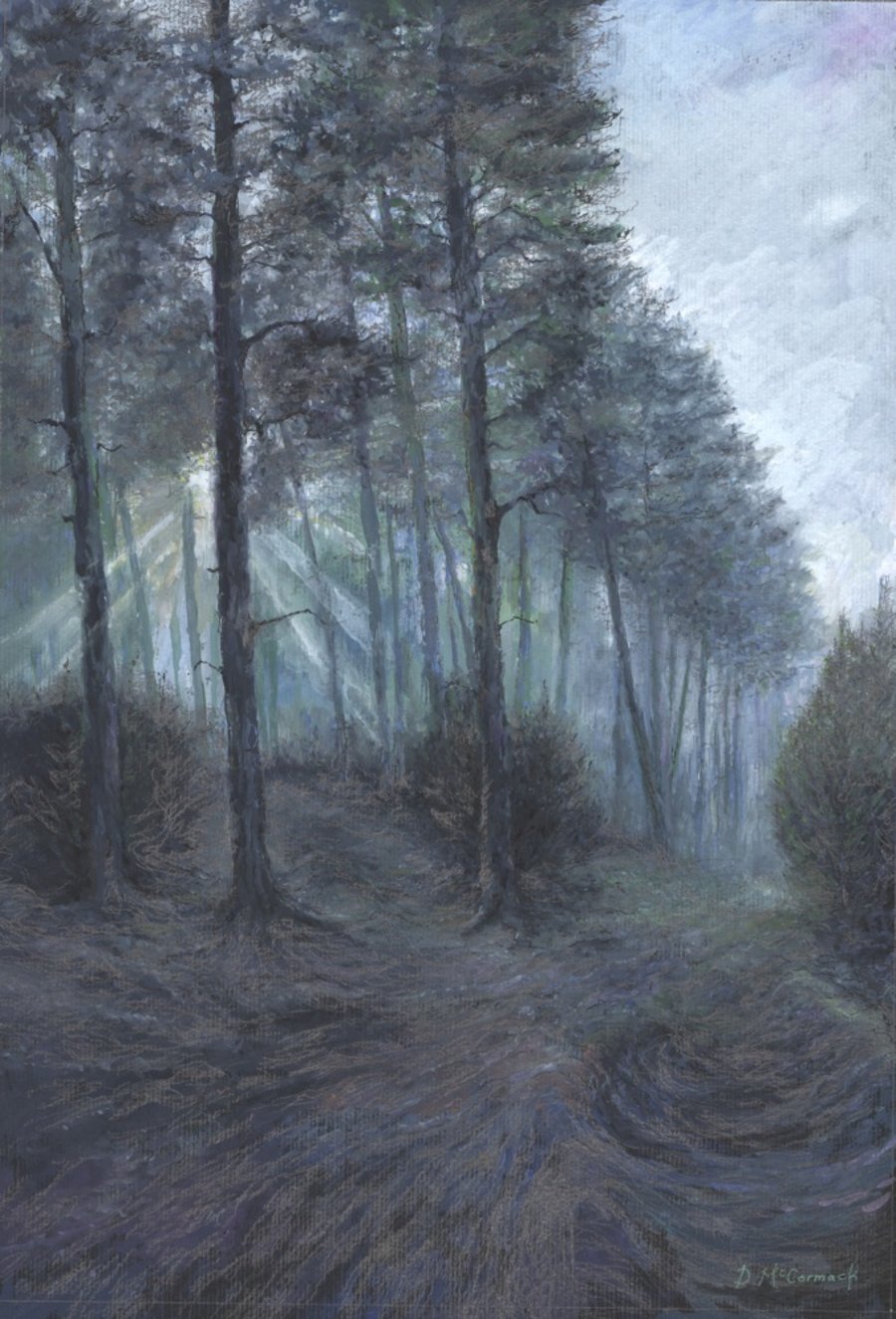 ORIGINAL - Cannock Chase