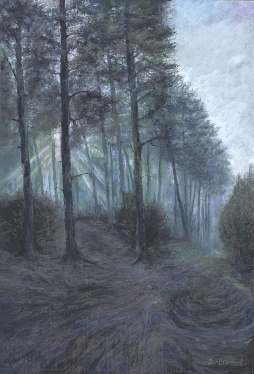 ORIGINAL - Cannock Chase