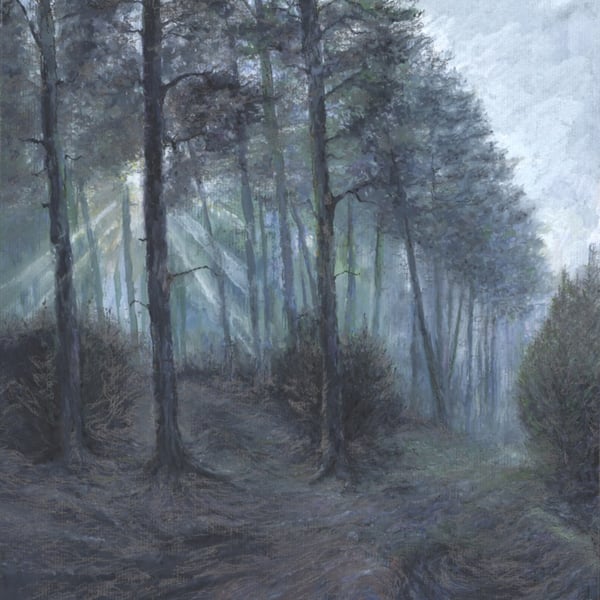 ORIGINAL - Cannock Chase