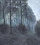ORIGINAL - Cannock Chase - Image 1