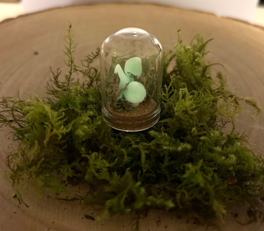 Mushroom Oddity Trinket