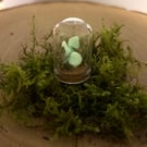 Mushroom Oddity Trinket