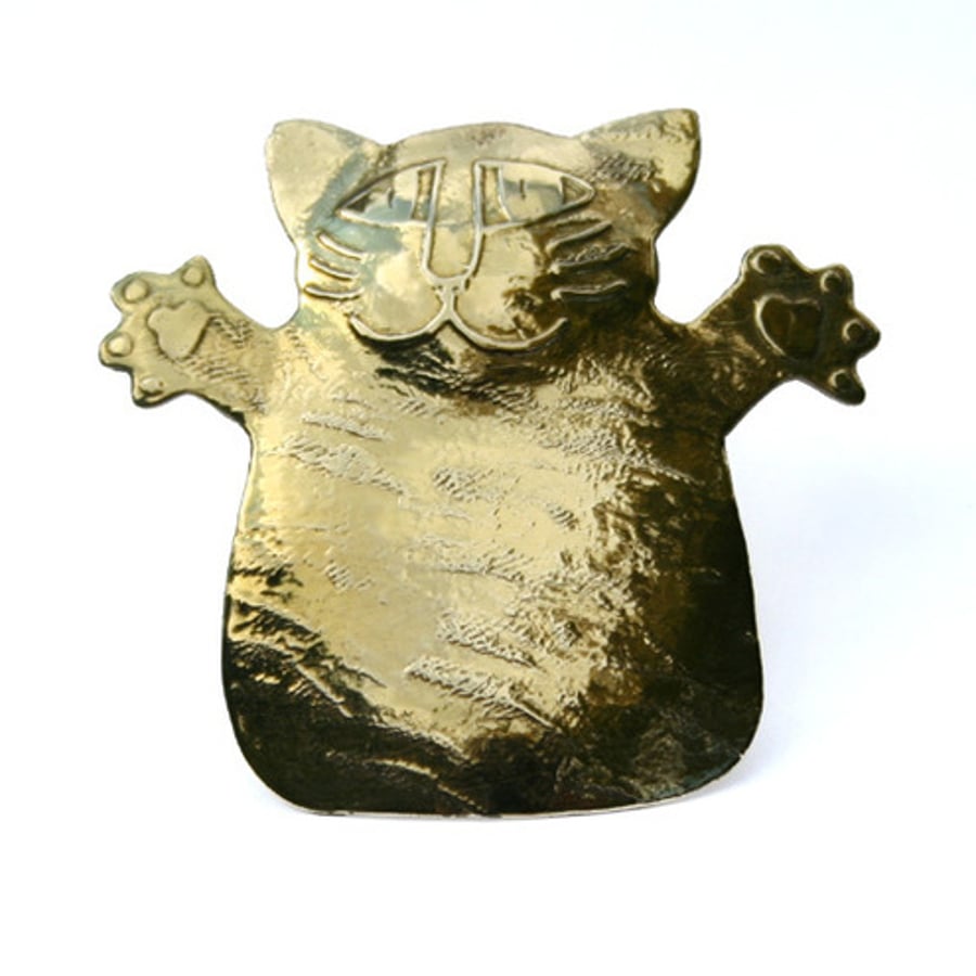hug me kitty brooch