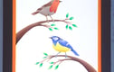 Birds Collection