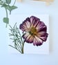 Real Pressed Flower Mini Canvas on Wooden Easel, Real Cosmos, Mini Art - Image 5
