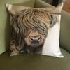 Highland Cow Cushion