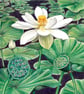 Greetings Card - Blank - Lotus - Image 3
