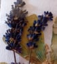 Exquisite Handmade pressed flower card. Original design. A6 size. 4x6inch - Image 5