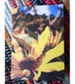 Bee on a Sunflower, A6 Greetings Card Nature Photography - Image 1