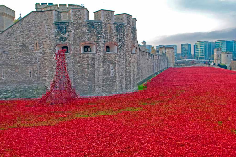 Tower Of London Red Poppy England Photograph Print