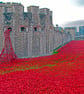 Tower Of London Red Poppy England Photograph Print - Image 1