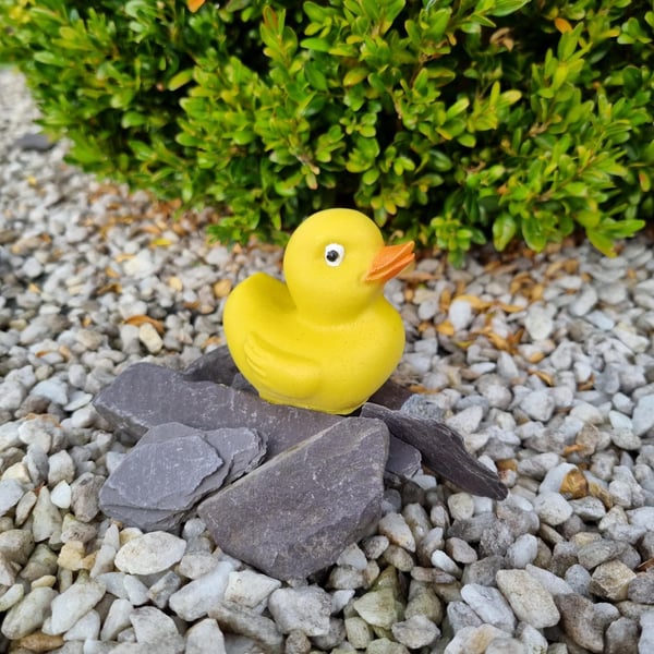 Soap duck