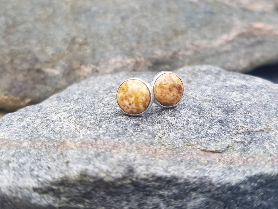 Picture Jasper Stud Earrings 8mm