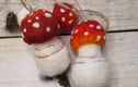 Christmas decorations and ornaments