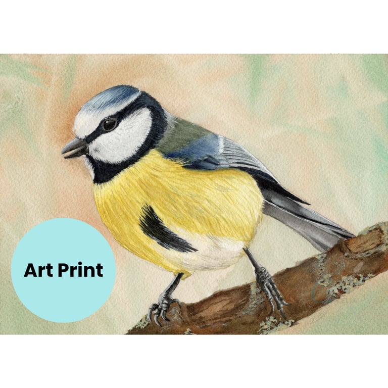 Blue Tit Bird Art print, Watercolour Painting, available in A4 and A5