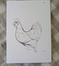 Chicken Sketchbook Page Ink Drawing - Image 2