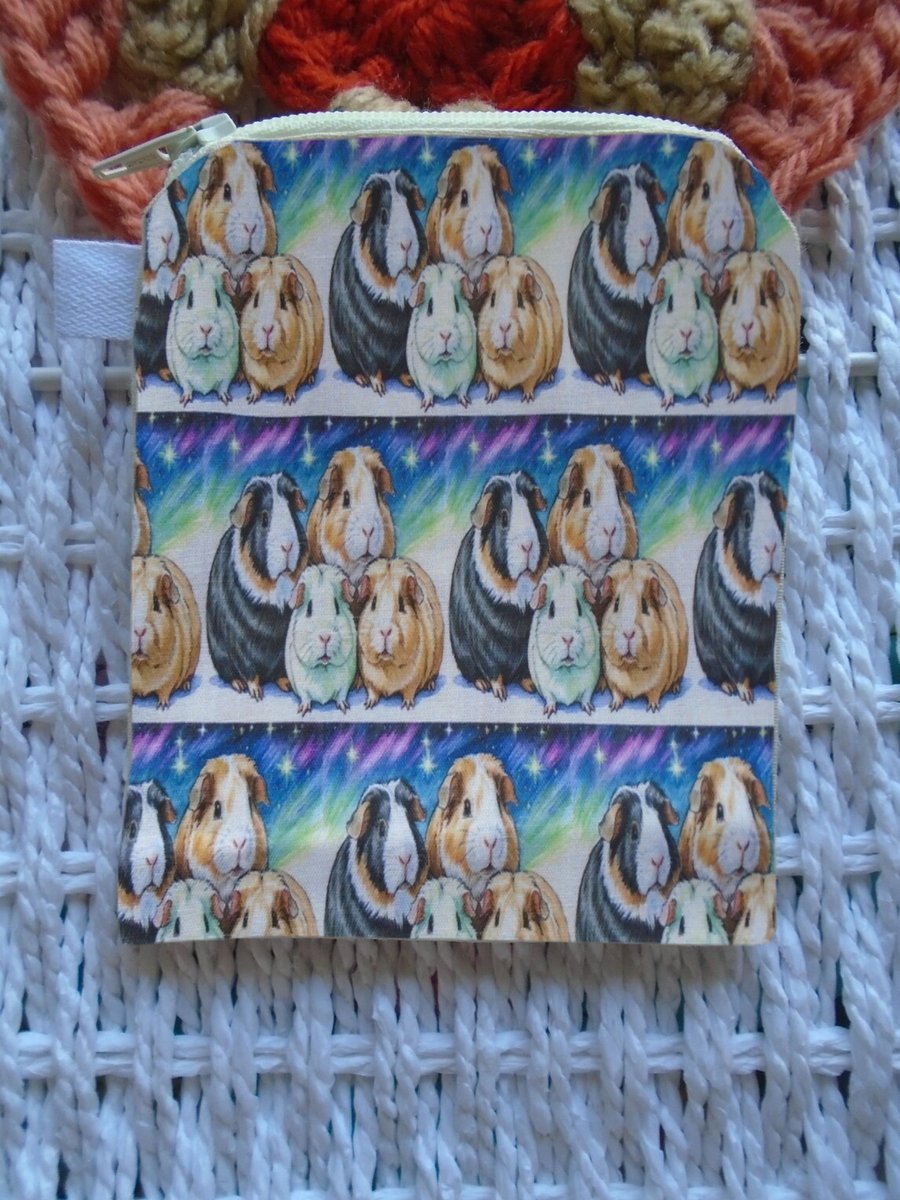 Northern Lights Guinea Pigs Coin Purse or Card Holder 
